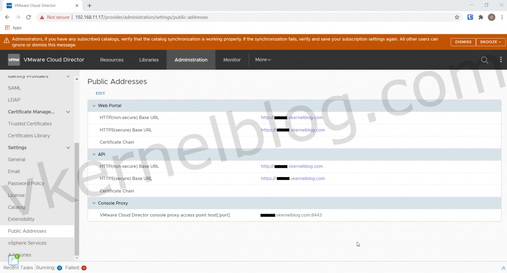 cloud director public address